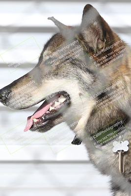 media/Jan-17-2026-CVMA (Sat) [[ab348a895b]]/Around the Pits/